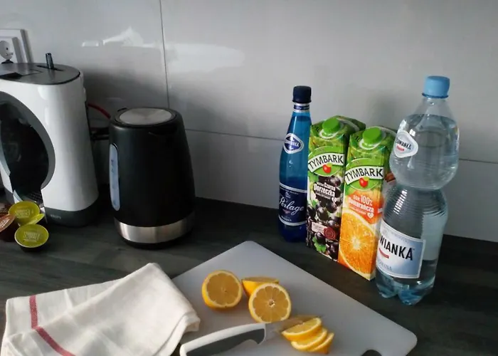 France Faktura Vat Appartement